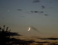 Venus Jupiter Moon and Spica